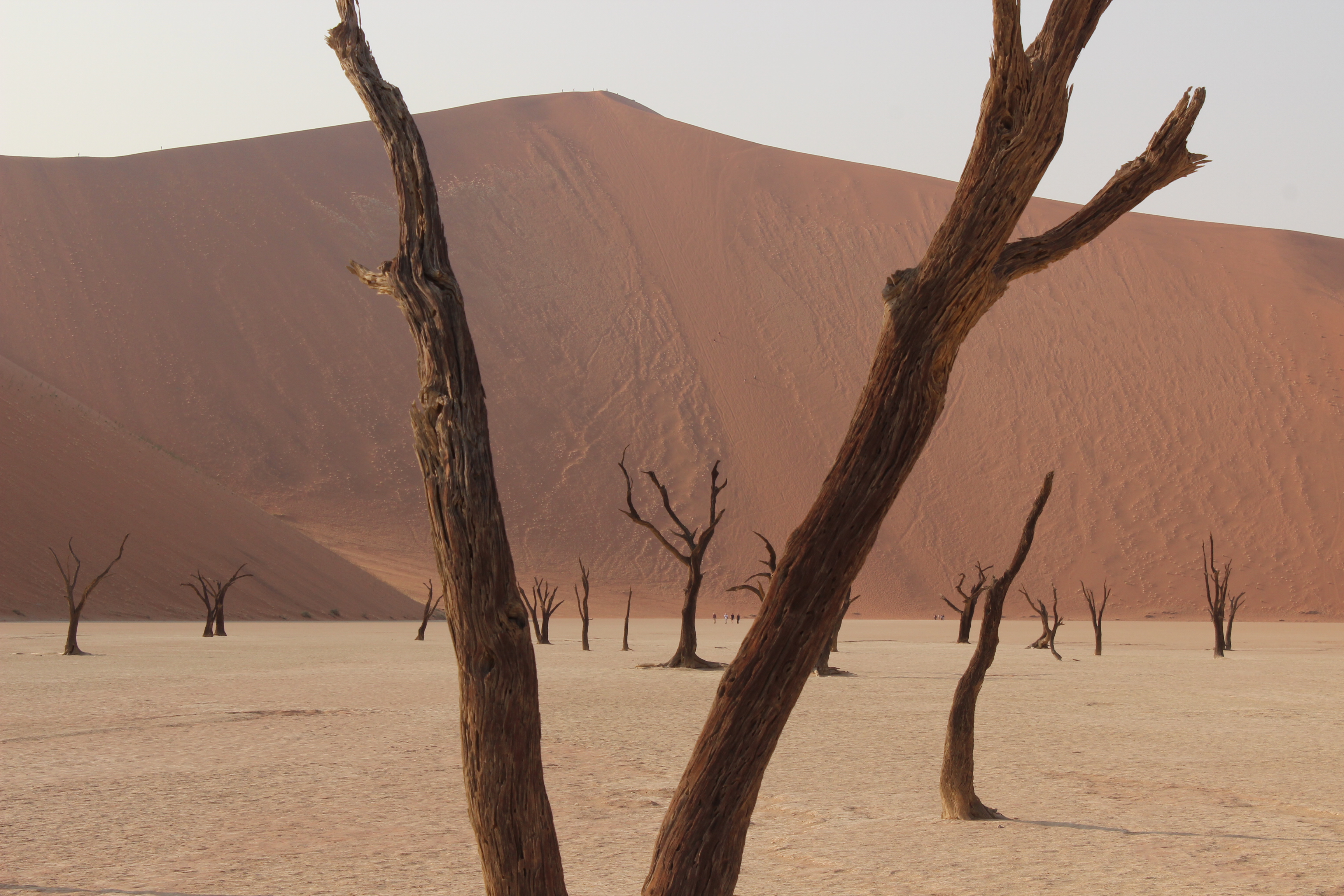 Namibia - foto preview 5