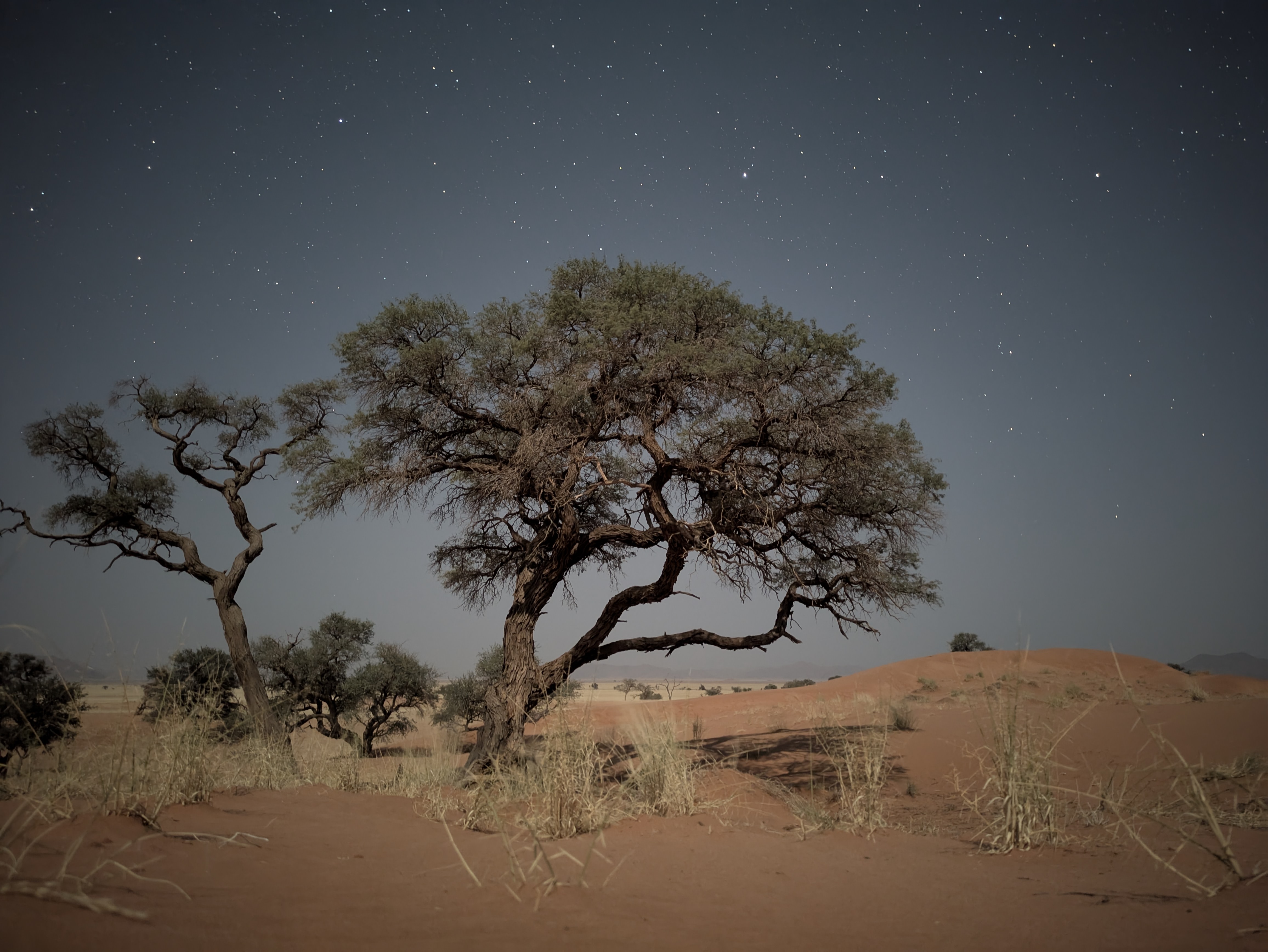 Namibia - foto preview 6