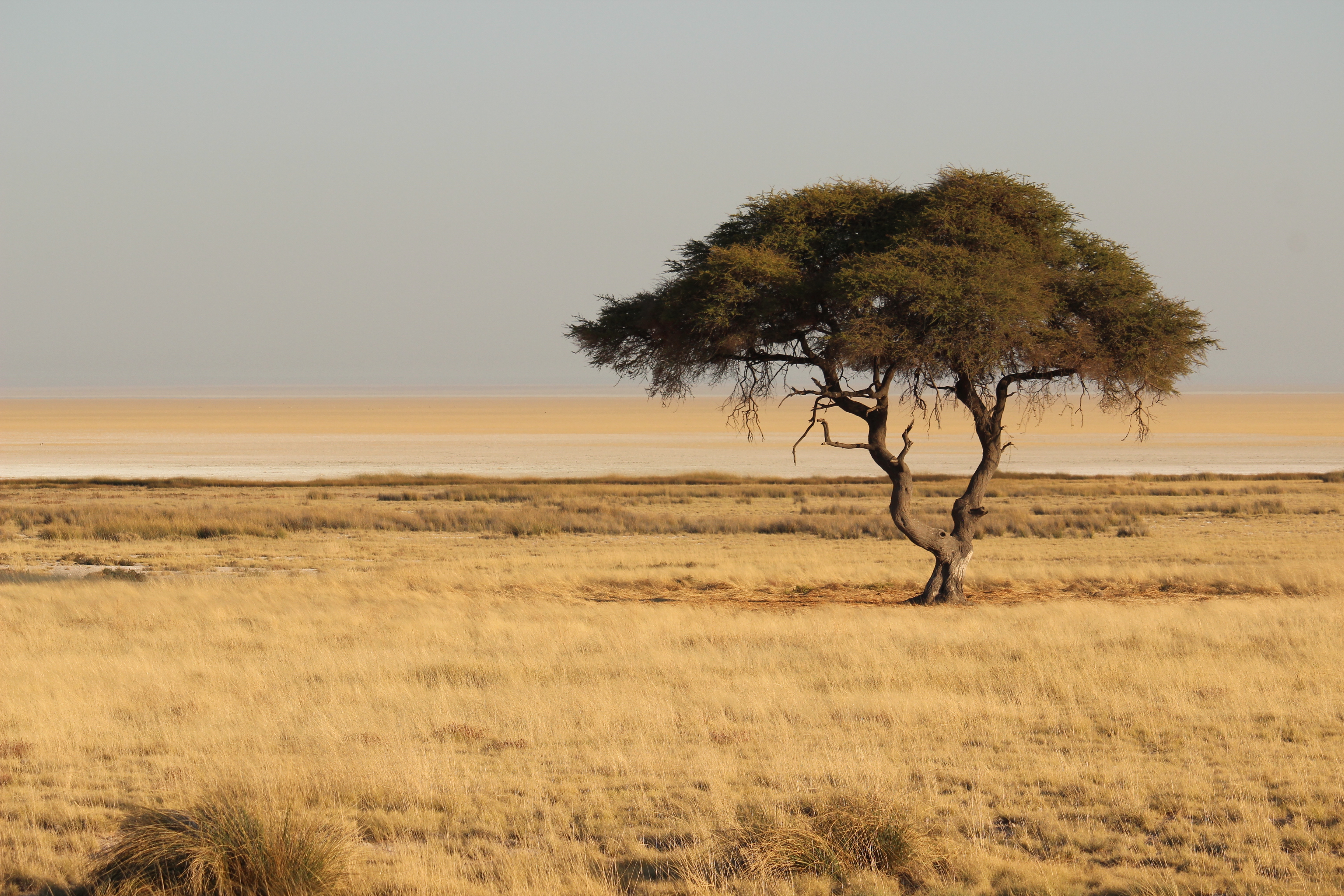 Namibia