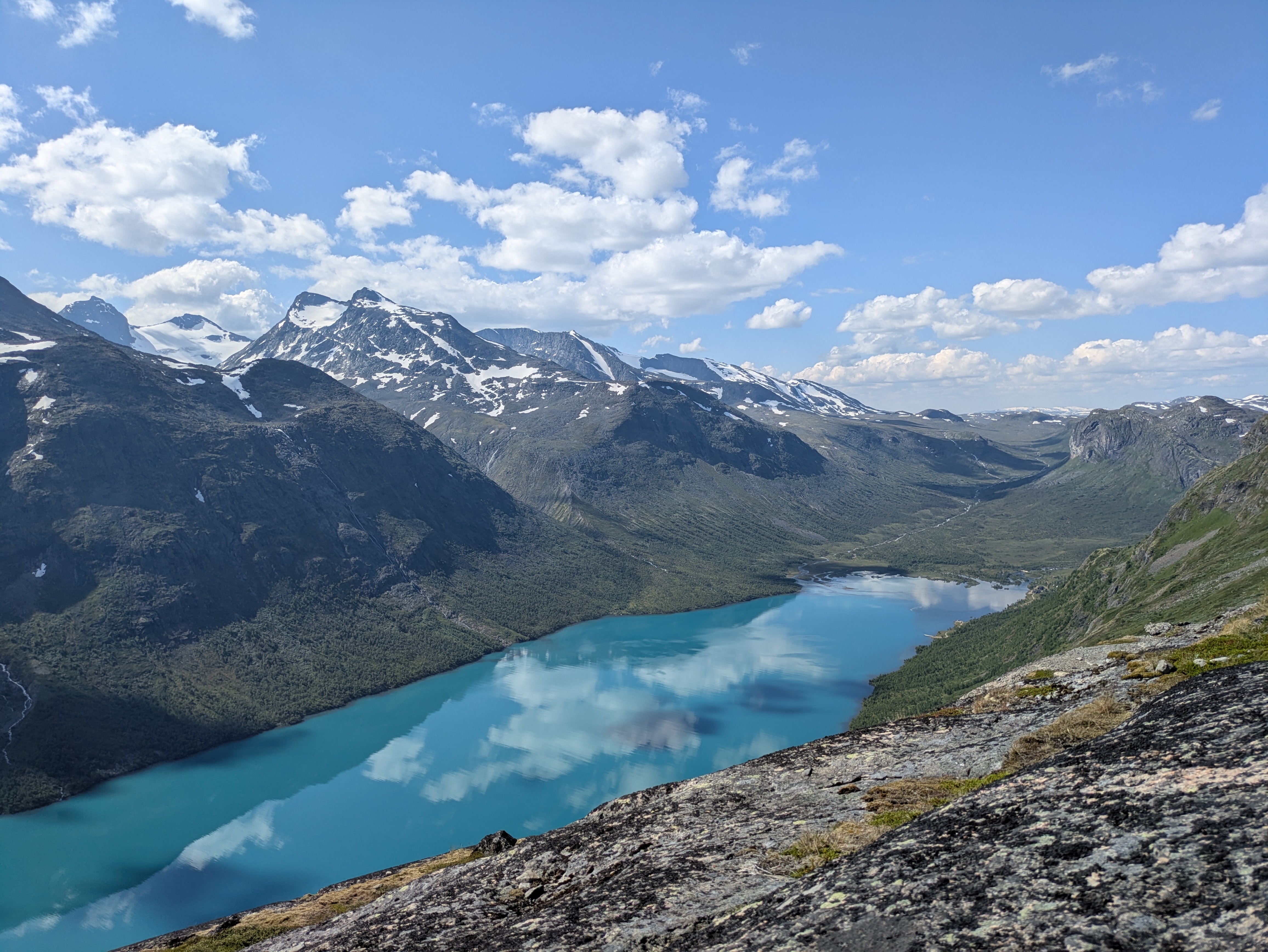 Norvegia