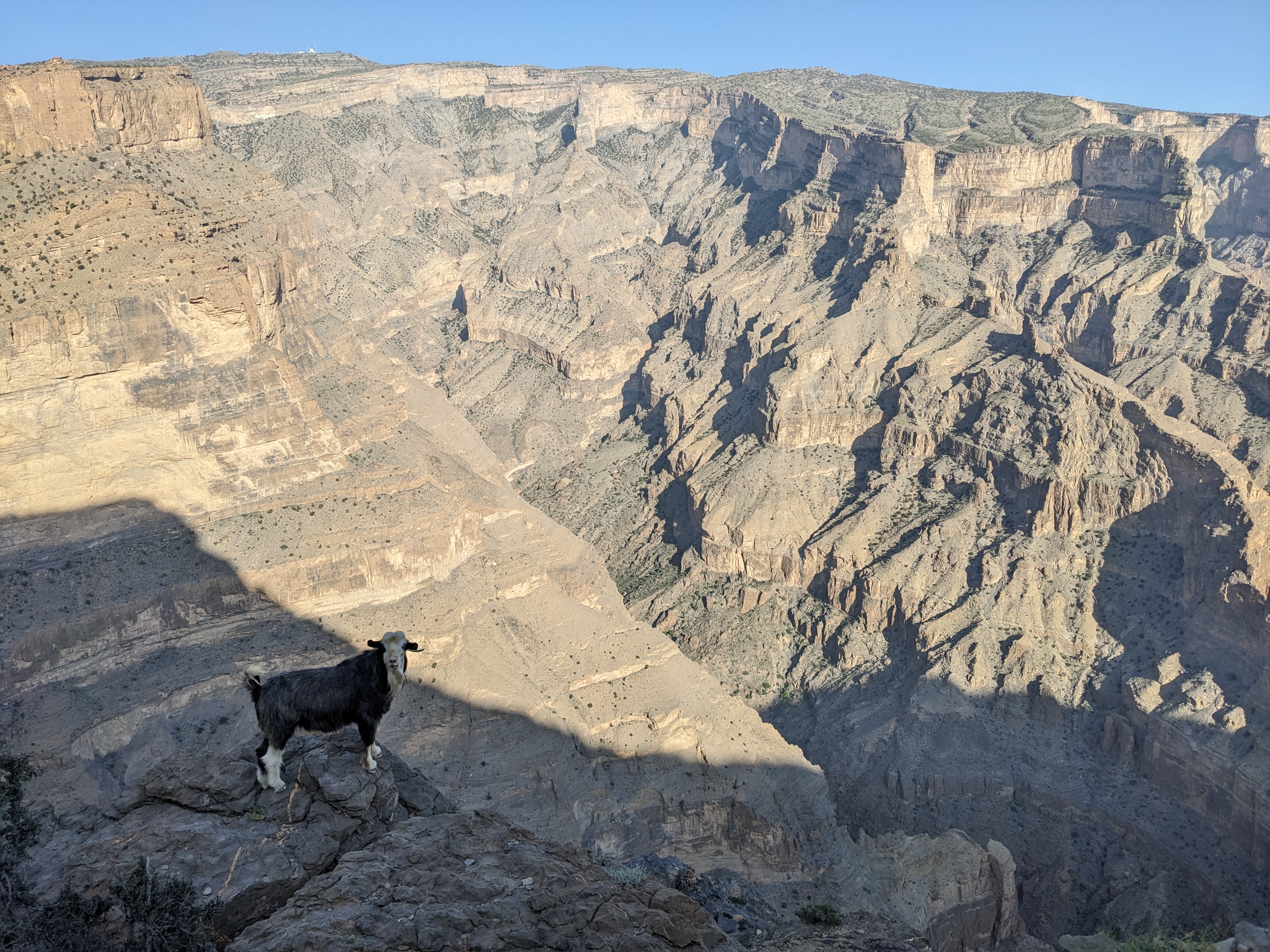Oman - foto preview 3