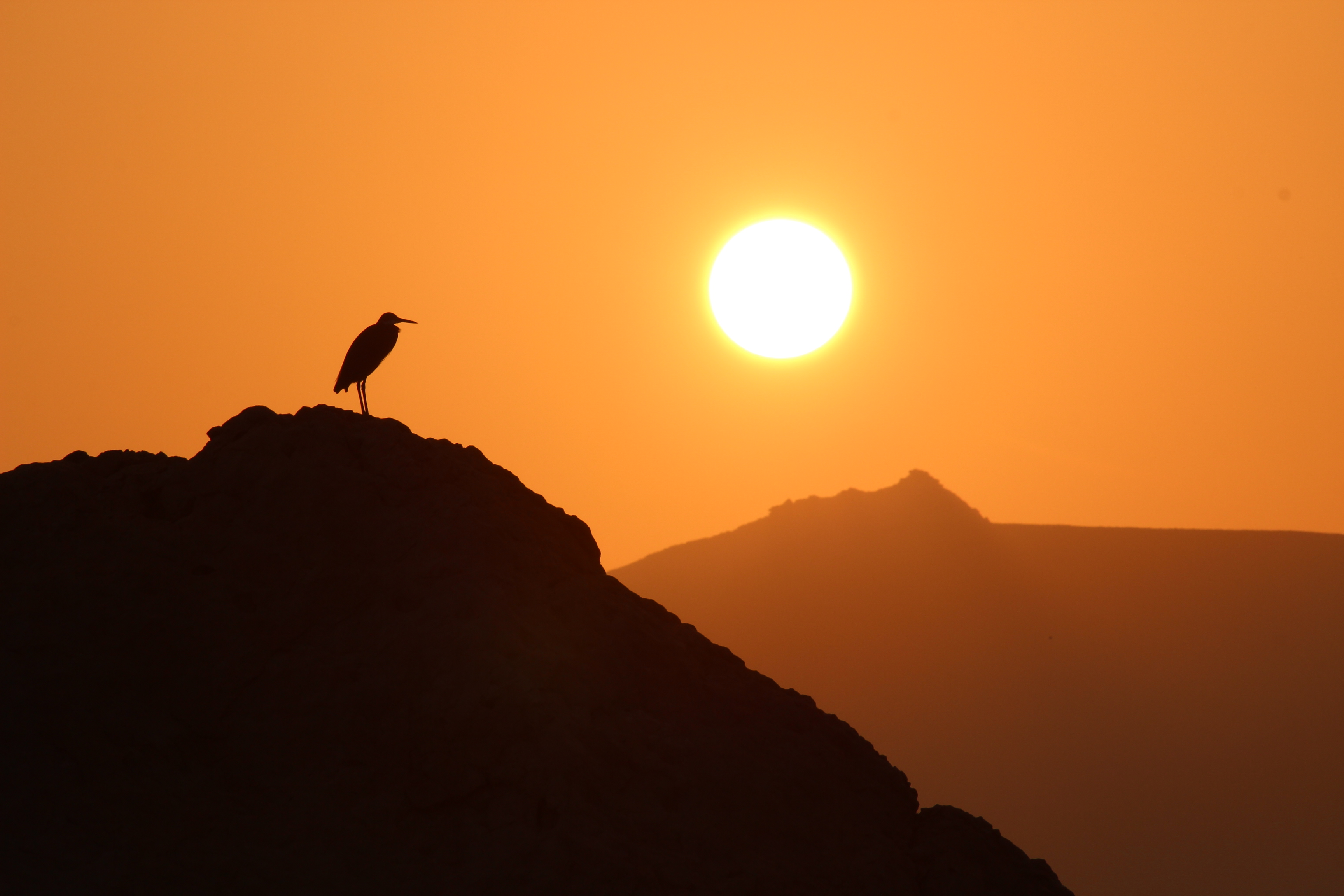 Socotra - foto preview 1