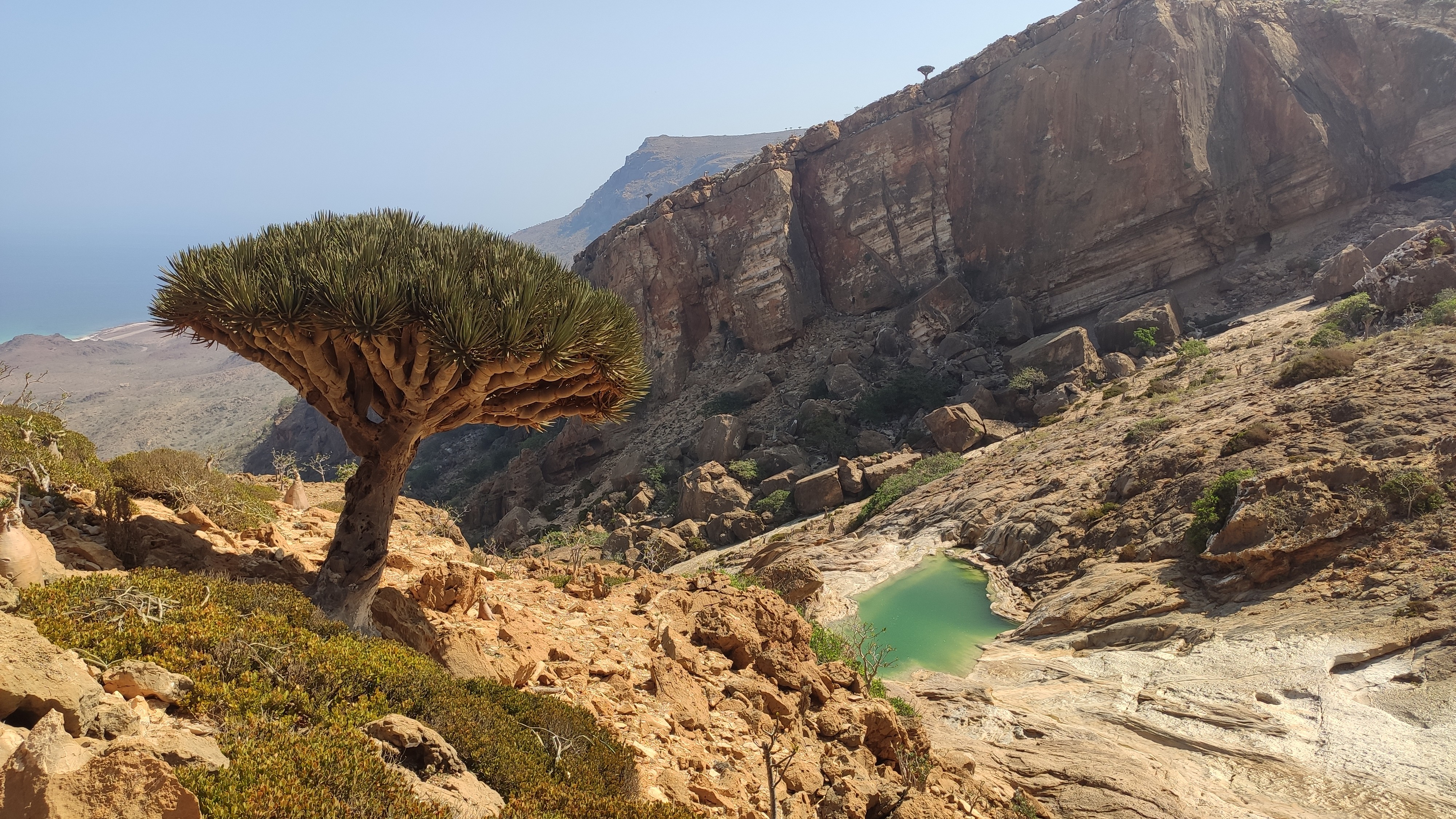 Socotra