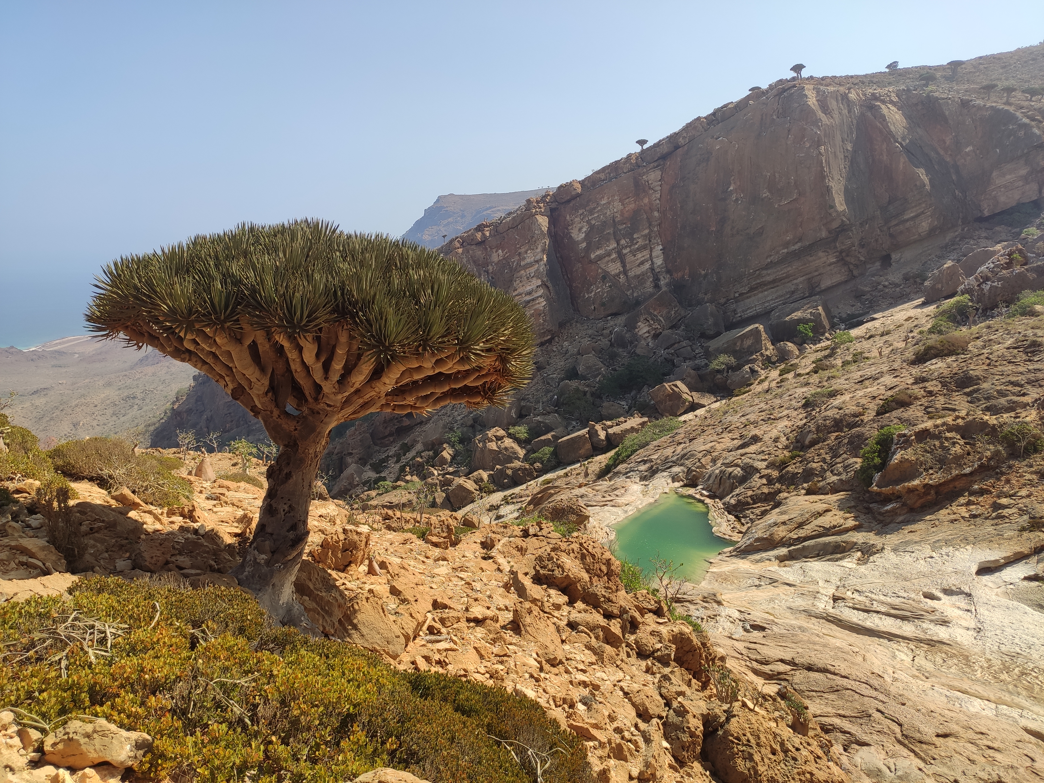 Socotra